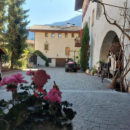 Apartamento Ansitz Von Wohlgemuth Salorno Exterior foto