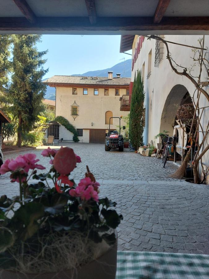 Apartamento Ansitz Von Wohlgemuth Salorno Exterior foto